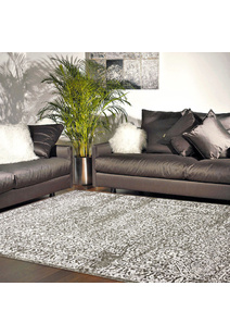 Saul Transitional Medallion Rug