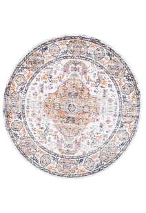 Suvi Transitional Medallion Rug