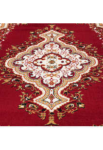 Toni Traditional Medallion Rug