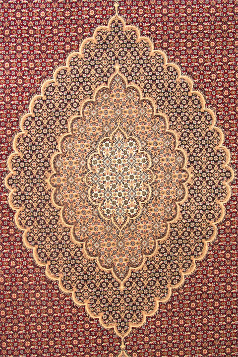 Large View Mona Red Oriental Fringed Rug