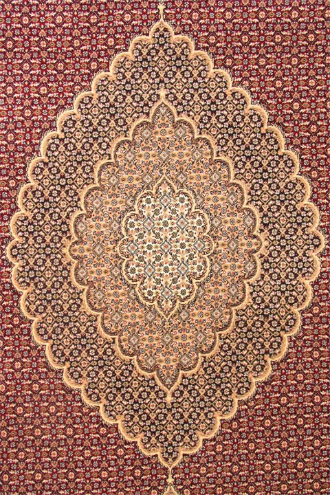 Large View Mona Red Oriental Fringed Rug