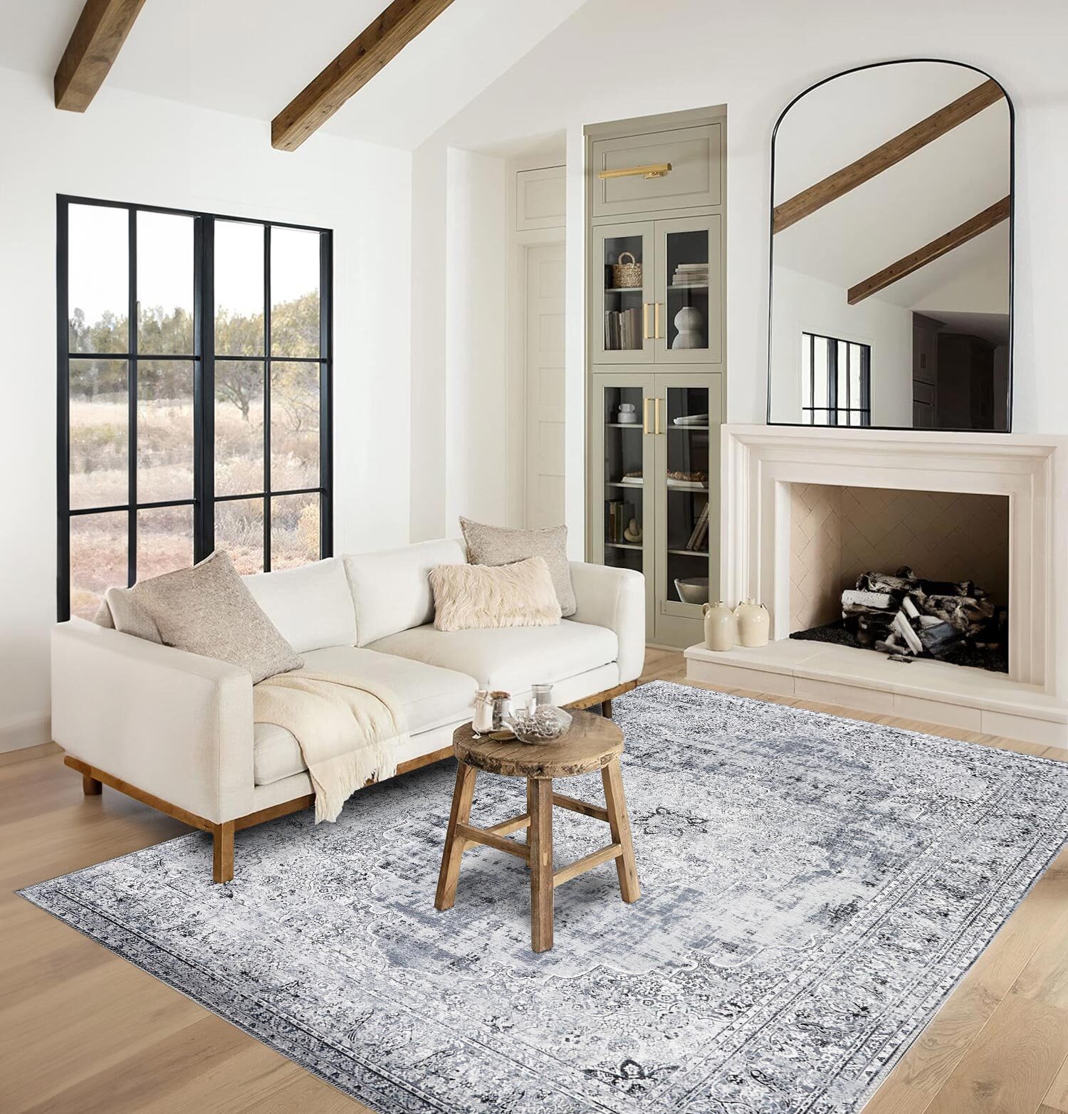 Large View Noble Traditional Medallion Rug