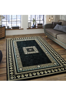 Cain Transitional Medallion Rug