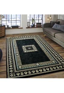 Cain Transitional Medallion Rug