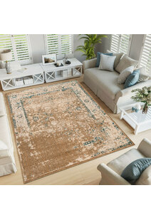Odin Transitional Border Rug