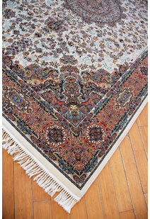 Parsa Soft Traditional Fringed Rug