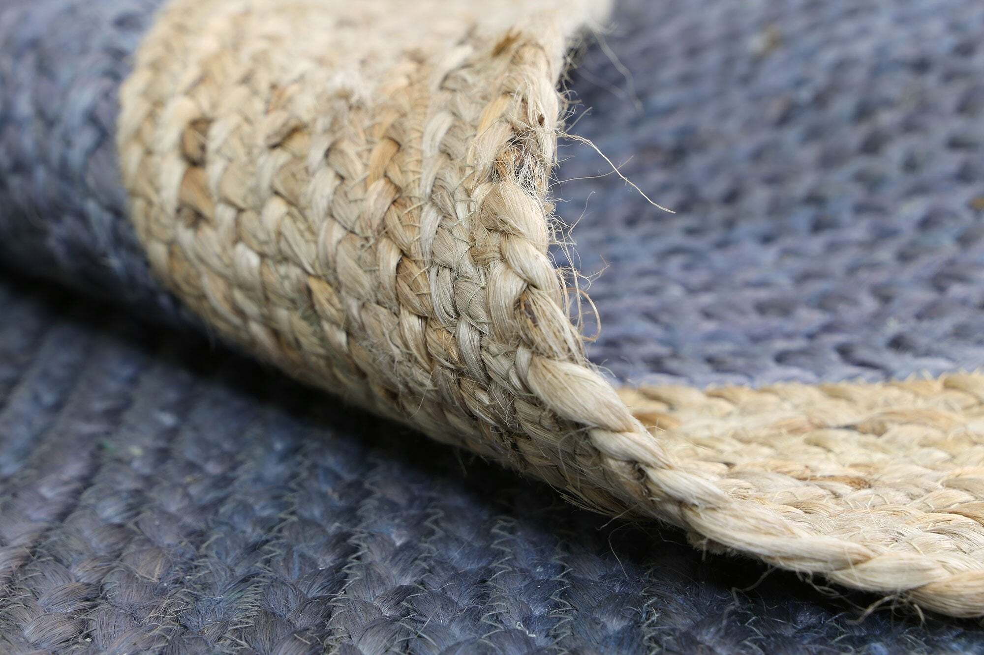 Harrold Woven Blue Jute Rug