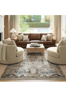 Lukas Traditional Medallion Rug