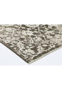 Ryan Floral Transitional Rug