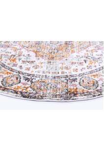 Suvi Transitional Medallion Rug