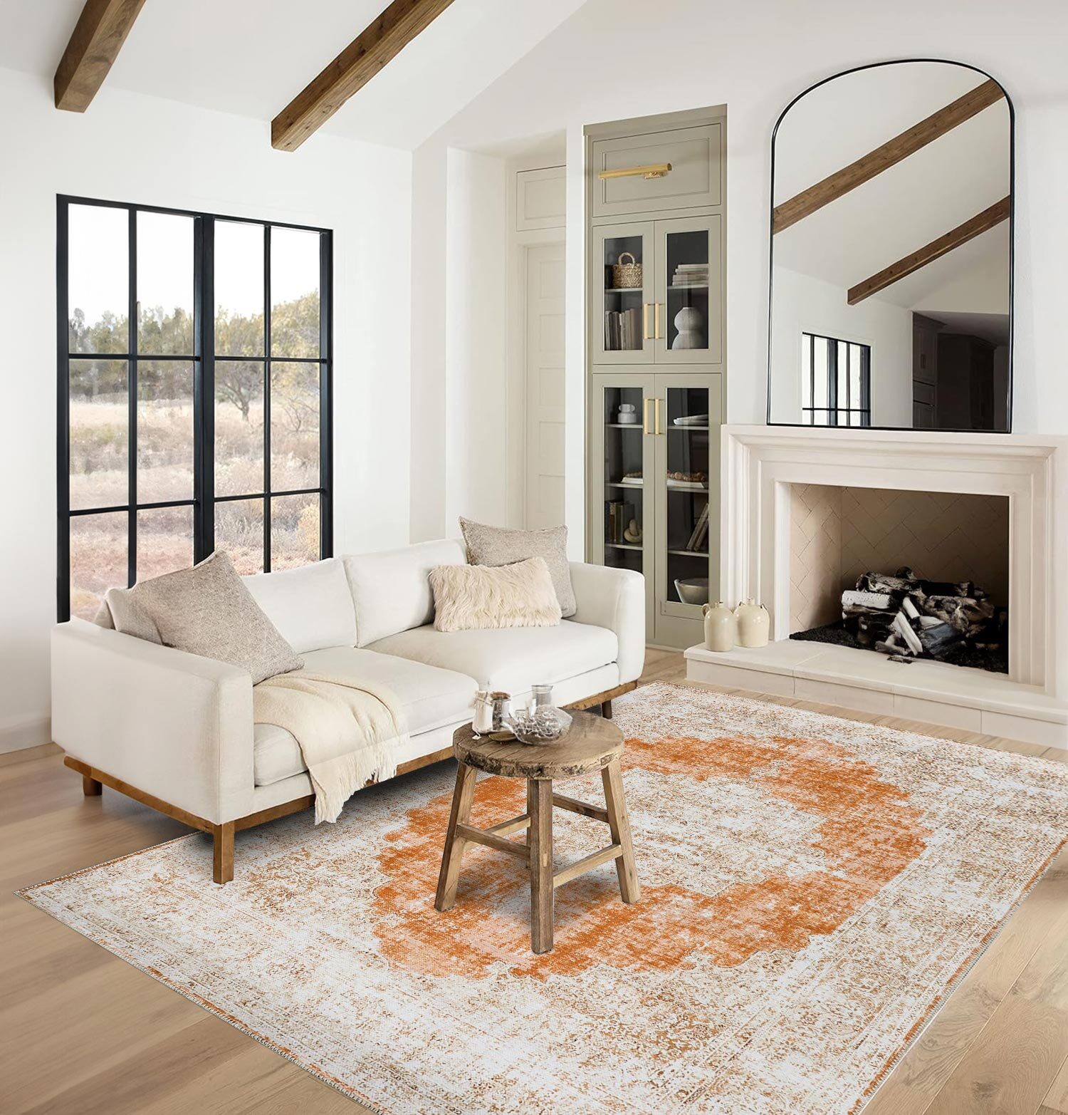 Large View Noble Traditional Medallion Rug