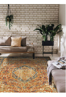 Heriz Red Oriental Medallion Rug