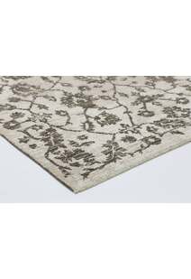 Ryan Floral Transitional Rug
