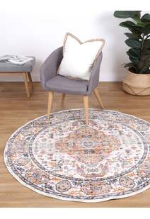 Suvi Transitional Medallion Rug