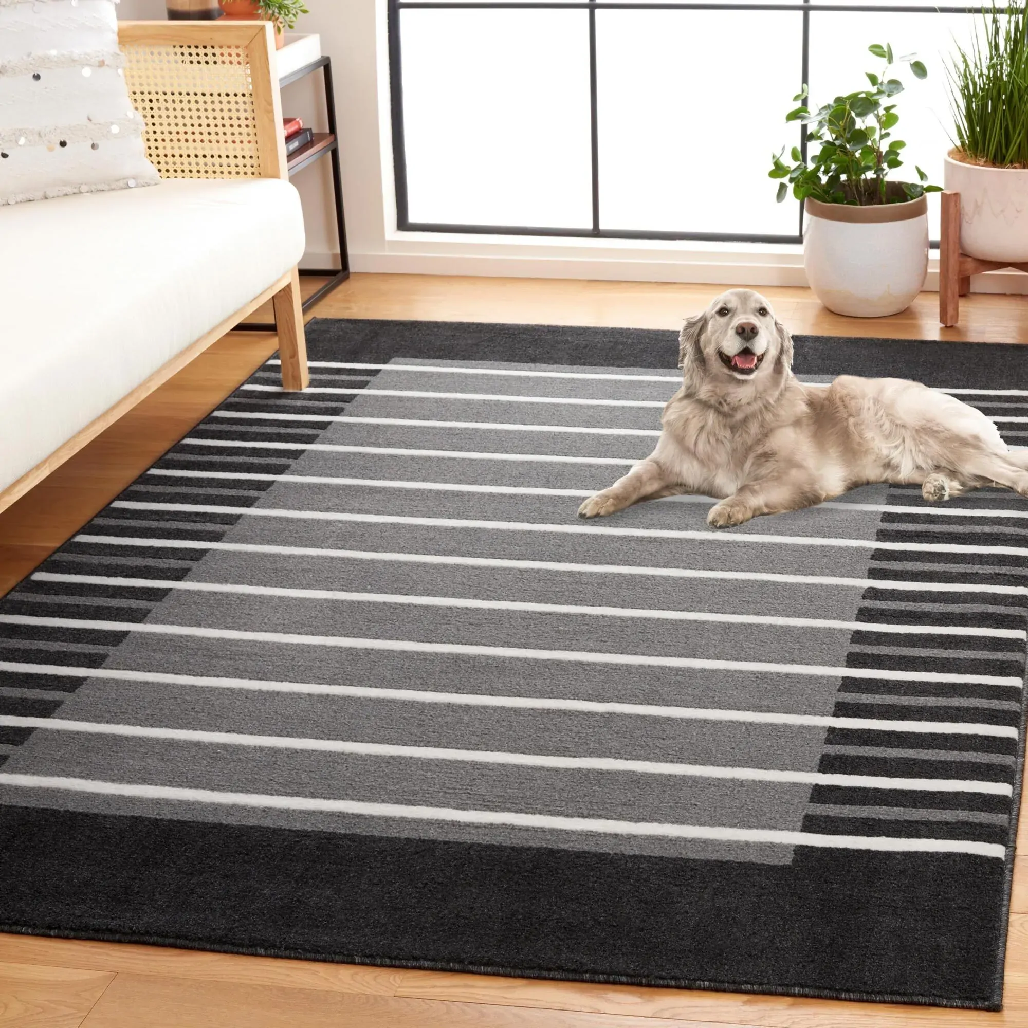 Large View Alfa Modern Striped Border Rug