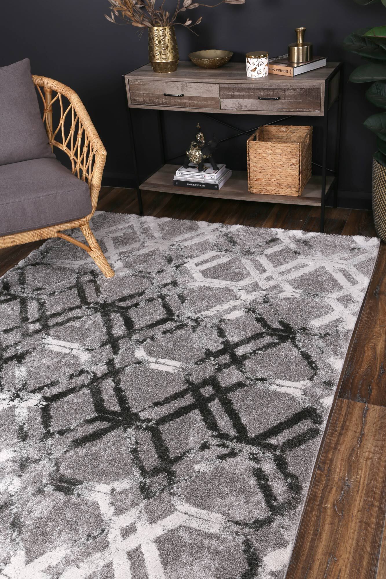 Large View Cole Contemporary Trellis Rug(Size 170 x 120cm)