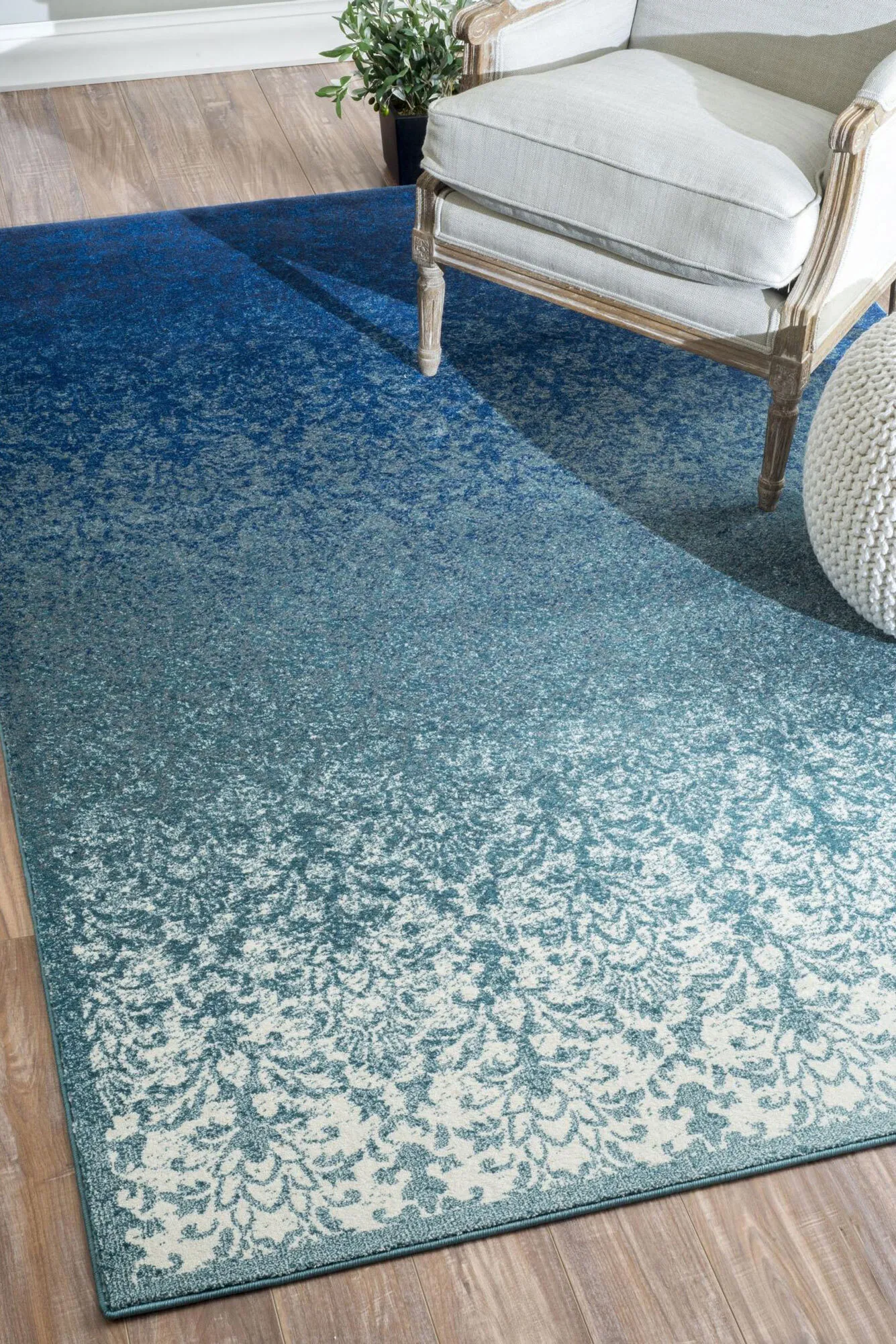 Roma Blue Transitional Floral Rug(Size 290 x 200cm)