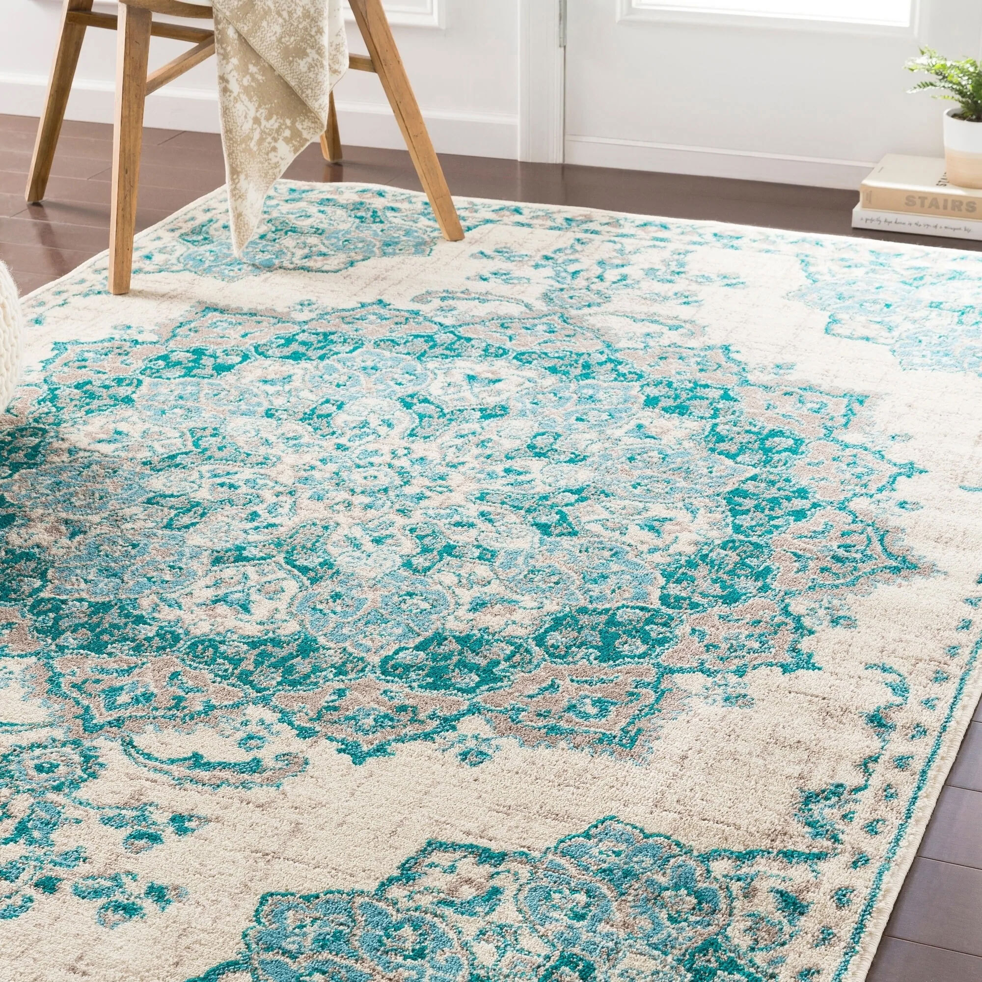 Large View Space Traditional Medallion Rug
