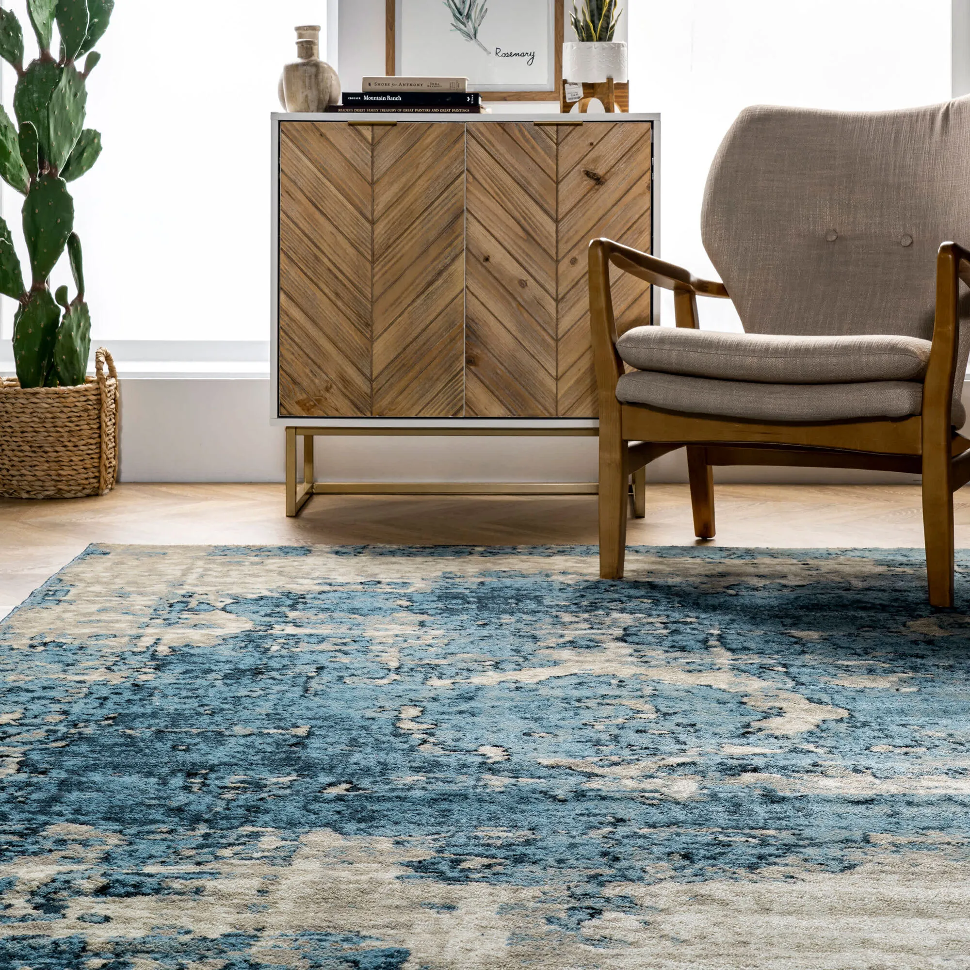 Ugo Overdyed Medallion Rug