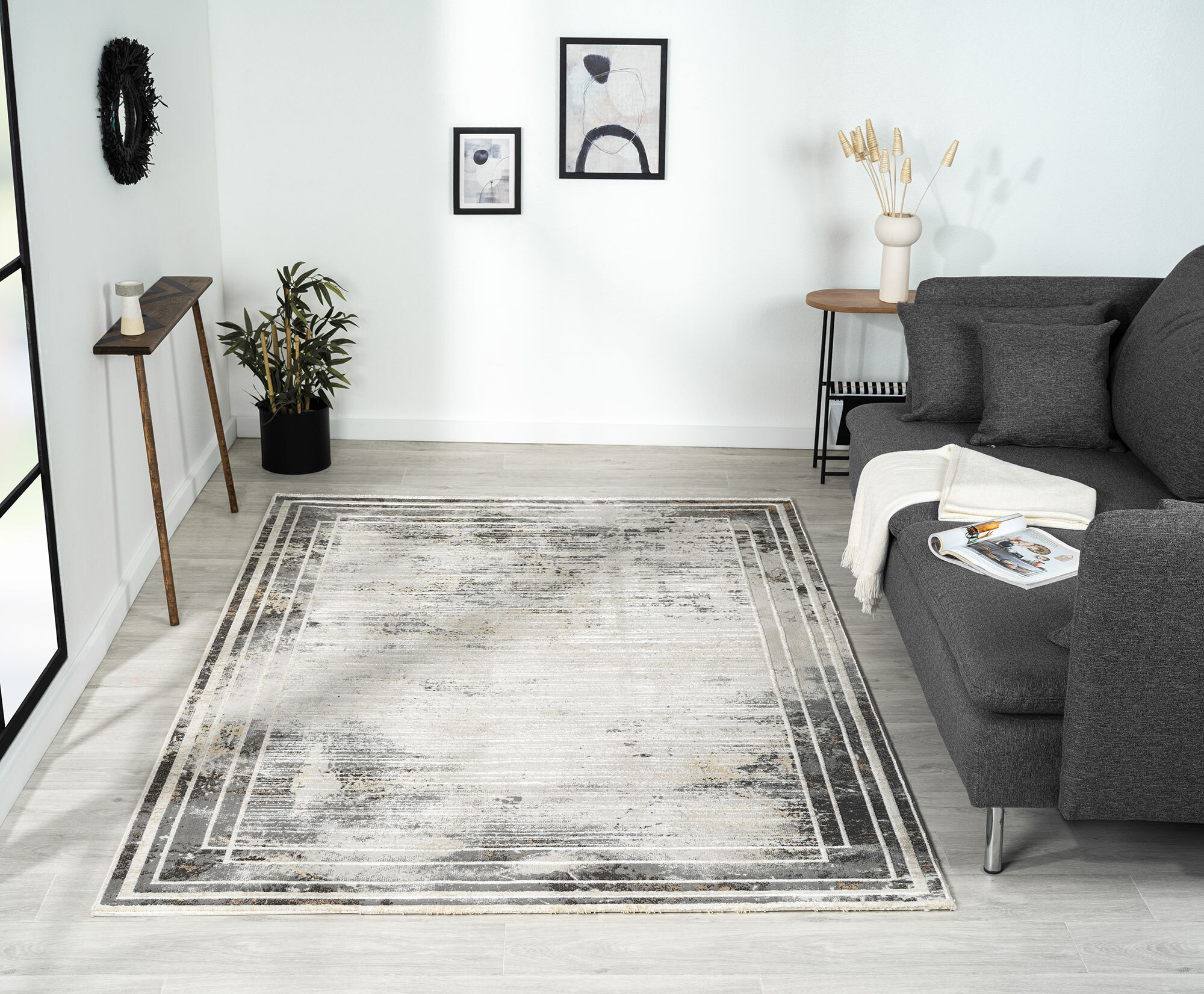 Large View Vision Contemporary Border Rug