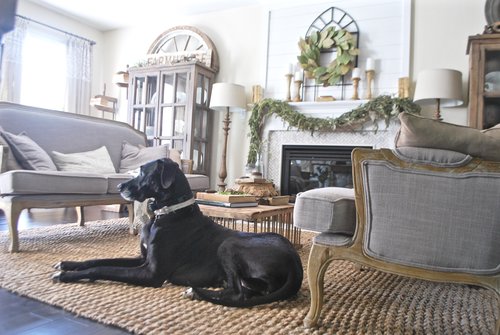 dog sitting on a jute rug