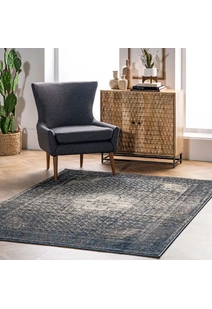 Ugo Overdyed Medallion Rug