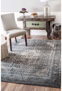 Ugo Overdyed Medallion Rug