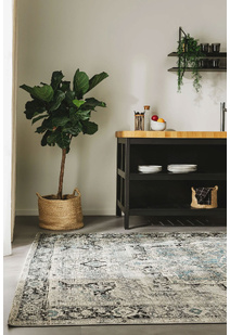 Aperto Medallion Flatweave Rug