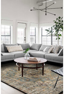 Aram Distressed Vintage Rug