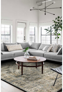 Aram Transitional Vintage Rug
