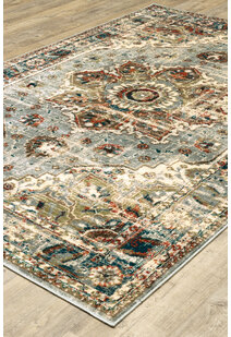 Caleb Transitional Medallion Rug