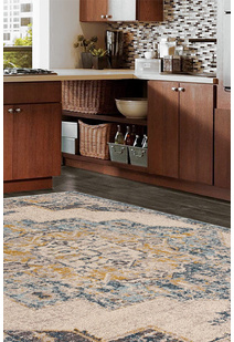 Cleo Traditional Medallion Rug