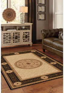 Cain Transitional Medallion Rug
