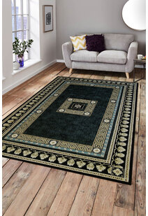 Cain Transitional Medallion Rug