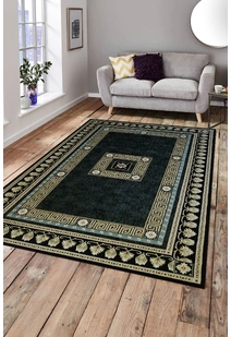 Cain Transitional Medallion Rug