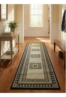 Cain Transitional Medallion Rug