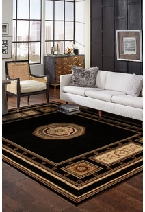 Cain Transitional Medallion Rug