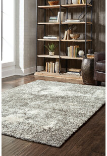 Ciro 2 Tone Shaggy Rug
