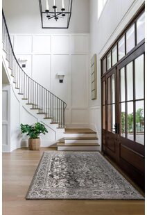 Erin Transitional Medallion Rug