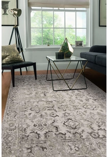 Erin Transitional Rug EE3501-Q