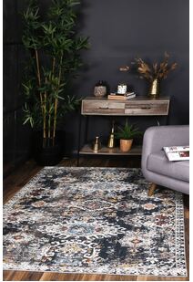 Haze Traditional Distressed Rug