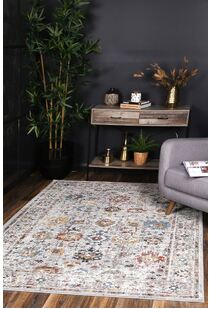 Haze Traditional Overdyed Rug