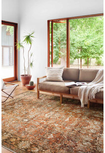 Heriz Floral Transitional Rug