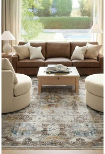 Lukas Traditional Medallion Rug