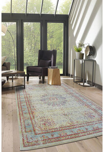 Messi Turquoise  Overdyed Rug