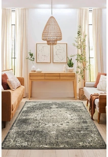 Mobi Traditional Rug MOB2163-D