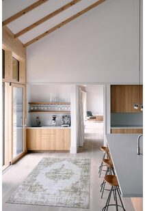 Noble Traditional Rug NJ18041-C