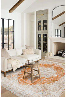 Noble Traditional Medallion Rug