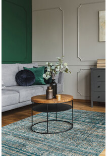 Odin Transitional Striped Rug