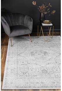 Poe Traditional Medallion Rug